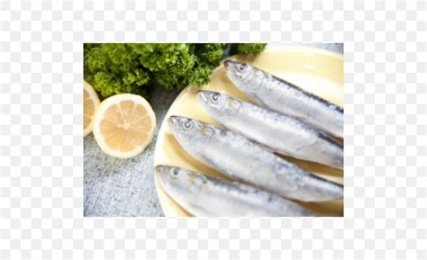 omega 3 fatty acids blood thinning|is omega 3 an anticoagulant.